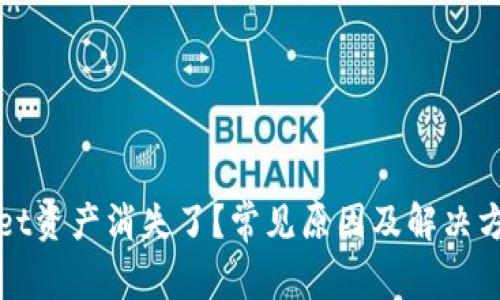 TPWallet资产消失了？常见原因及解决方案详解
