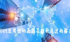 TPWallet使用慢的原因及提升速度的解决方案