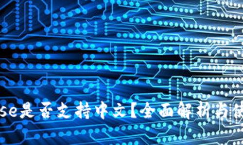 Coinbase是否支持中文？全面解析与使用指南