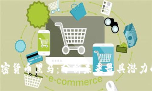 2023年加密货币黑马：分析未来最具潜力的数字货币