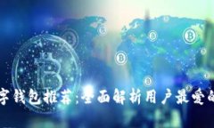 美国最大的数字钱包推荐：全面解析用户最爱的