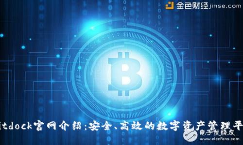 Bitdock官网介绍：安全、高效的数字资产管理平台