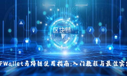 TPWallet马蹄链使用指南：入门教程与最佳实践
