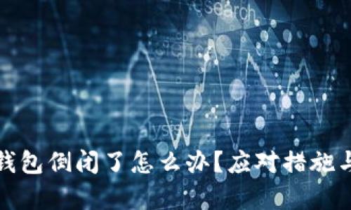 数字货币钱包倒闭了怎么办？应对措施与建议解析