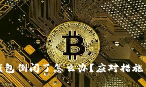 数字货币钱包倒闭了怎么办？应对措施与建议解析
