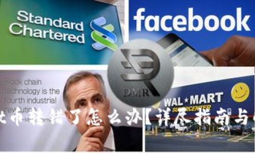 tpwallet币转错了怎么办？详尽指南与解决方案