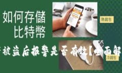 TPWallet资产被盗后报警是否有效？全面解析与应对