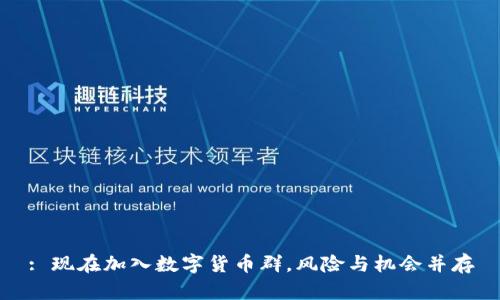 : 现在加入数字货币群，风险与机会并存
