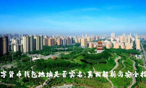 数字货币钱包地址是否实名：真相解析与安全指南