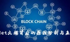TPWallet火爆背后的原因分析与未来展望