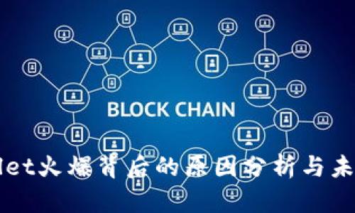 TPWallet火爆背后的原因分析与未来展望