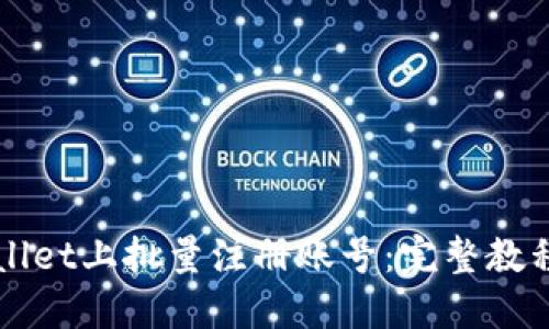 如何在TPWallet上批量注册账号：完整教程与实用技巧