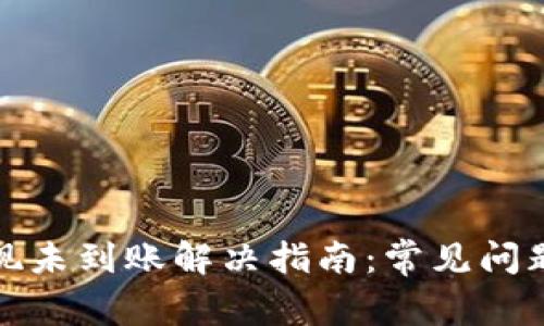 tpwallet提现未到账解决指南：常见问题与解决方案
