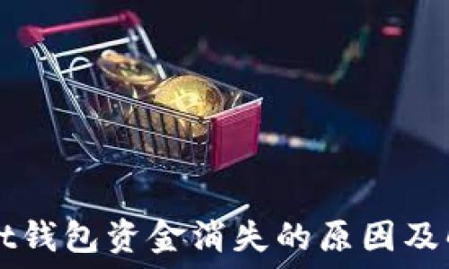   
TPWallet钱包资金消失的原因及解决方案
