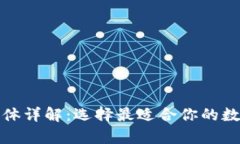 数字货币钱包载体详解：选择最适合你的数字资