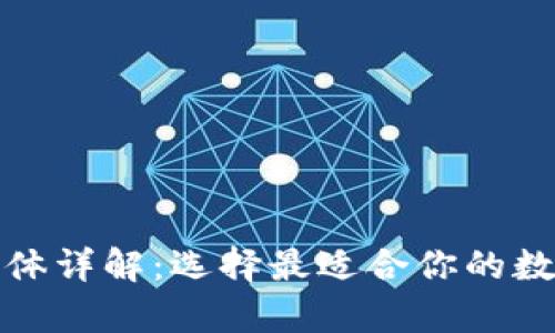 数字货币钱包载体详解：选择最适合你的数字资产存储方式