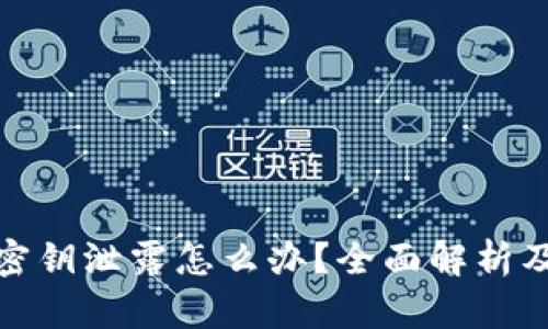 tpwallet密钥泄露怎么办？全面解析及应对策略