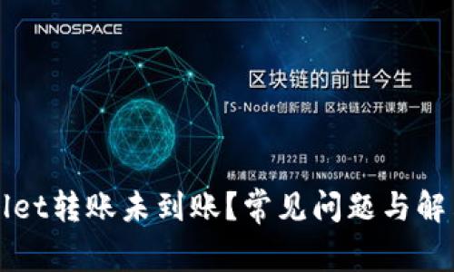 TPWallet转账未到账？常见问题与解决方案