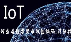 如何查看数字货币钱包编码：详细指南