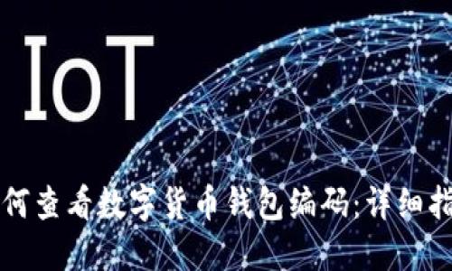 如何查看数字货币钱包编码：详细指南