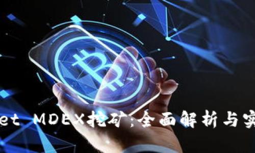 TPWallet MDEX挖矿：全面解析与实用指南