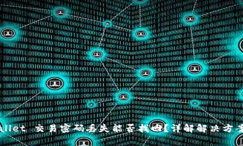 Title: TPWallet 交易密码丢失能否找回？详解解决方案及注意事项