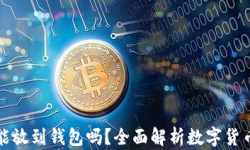
数字货币都能放到钱包吗？全面解析数字货币的钱包类型