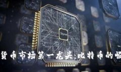 揭秘数字货币市场第一龙头：比特币的崛起与挑