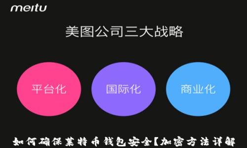 
如何确保莱特币钱包安全？加密方法详解