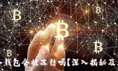   区块链冷钱包会被冻结吗？深入揭秘及风险分析