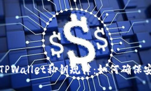 全面解析TPWallet私钥规律：如何确保安全与隐私