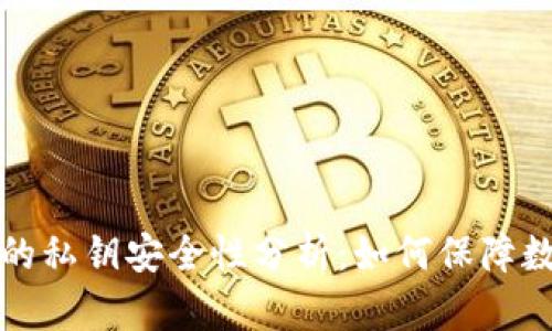 : TPWallet的私钥安全性分析：如何保障数字资产安全