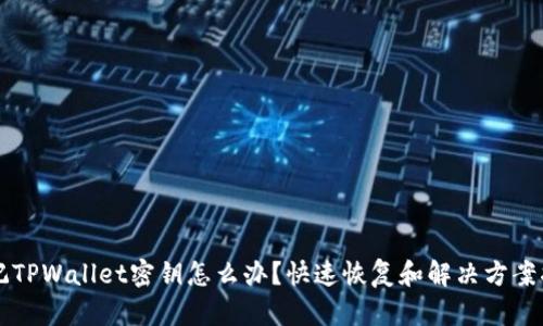 忘记TPWallet密钥怎么办？快速恢复和解决方案指南