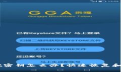 忘记TPWallet密钥怎么办？快速恢复和解决方案指南