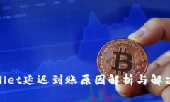 tpwallet延迟到账原因解析与解决方案