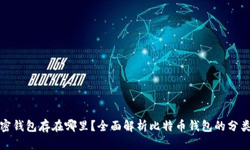 比特币加密钱包存在哪里？全面解析比特币钱包的分类与安全性