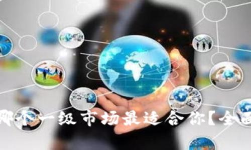 tpwallet选哪个一级市场最适合你？全面分析与比较