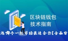 tpwallet选哪个一级市场最适合你？全面分析与比较