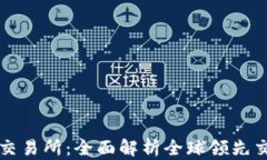 区块链最大的交易所：全面解析全球领先交易所