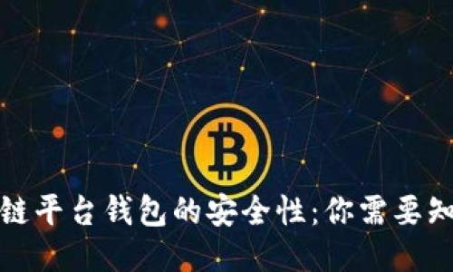 揭秘区块链平台钱包的安全性：你需要知道的一切