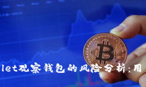 TPWallet观察钱包的风险分析：用户必读