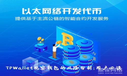 TPWallet观察钱包的风险分析：用户必读