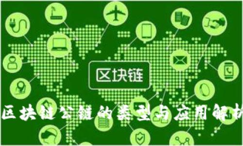区块链公链的类型与应用解析