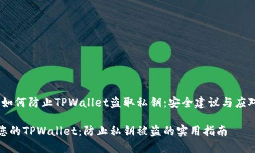 警惕！如何防止TPWallet盗取私钥：安全建议与应对措施

保护您的TPWallet：防止私钥被盗的实用指南