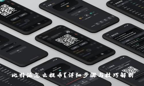 比特派怎么提币？详细步骤与技巧解析