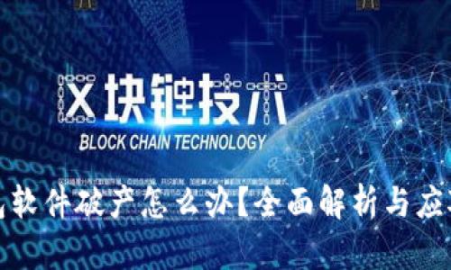 冷钱包软件破产怎么办？全面解析与应对策略