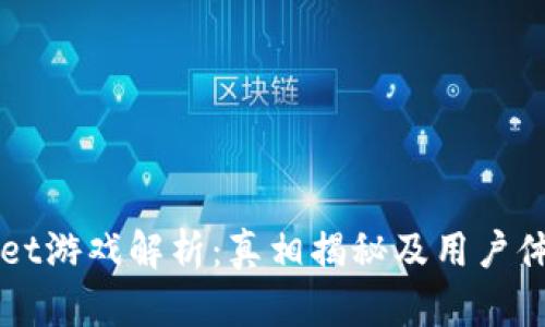 TPWallet游戏解析：真相揭秘及用户体验分析