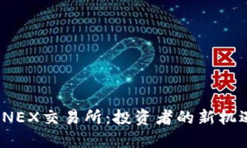 Pi币在CNEX交易所：投资者的新机遇与挑战