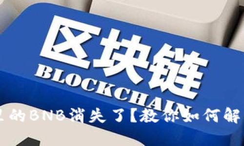 TPWallet里的BNB消失了？教你如何解决这个问题