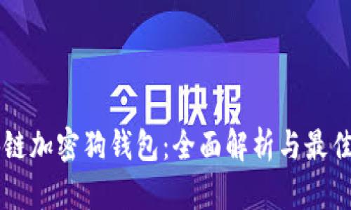 区块链加密狗钱包：全面解析与最佳实践